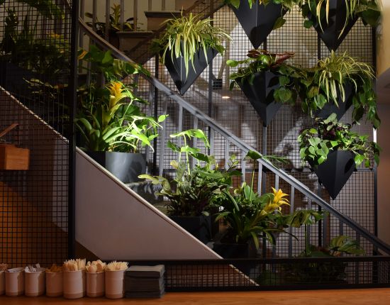 Plants incorporated in restaurant designs  